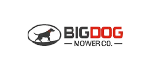 Big Dog